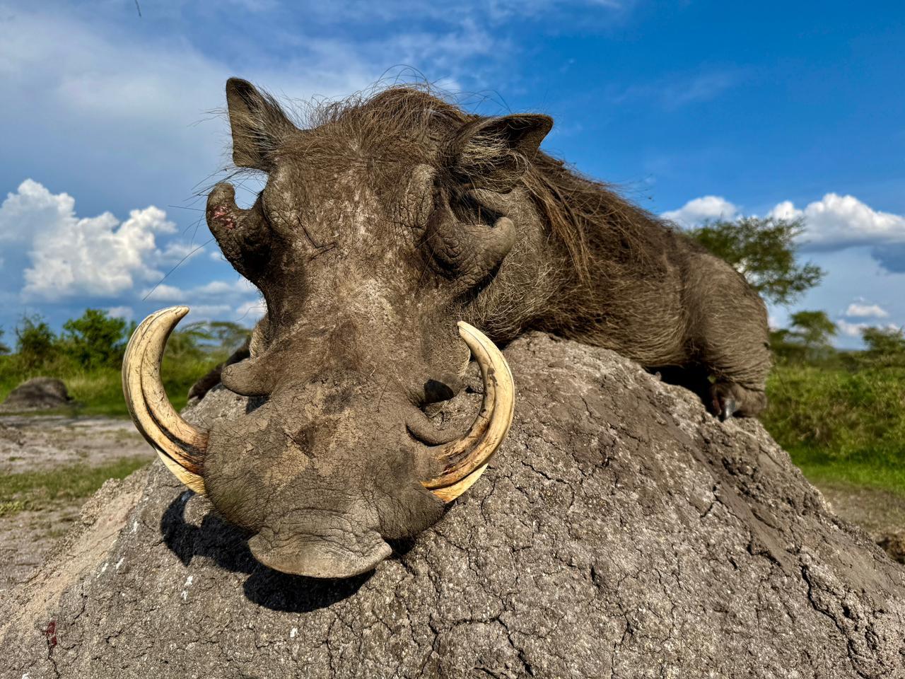 Uganda_Hunt_21